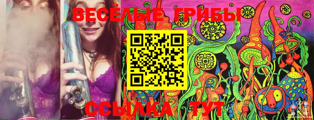 Псилоцибиновые грибы MAGIC MUSHROOMS Минеральные Воды