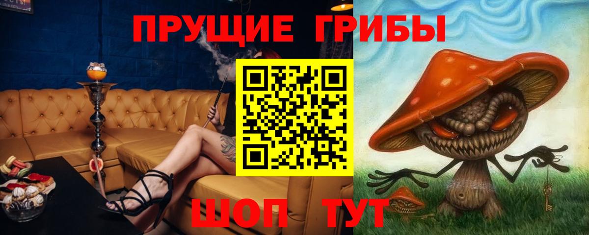 Минеральные Воды  Псилоцибиновые грибы GOLDEN TEACHER  Вход с VPN 