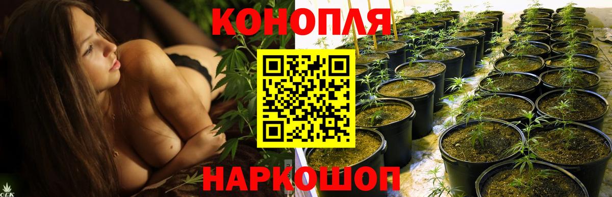 Шишки марихуана ГИДРОПОН  Вход с VPN  Каннабис Amnesia  Минеральные Воды 